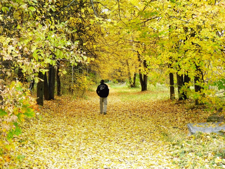 Осенний пейзаж
