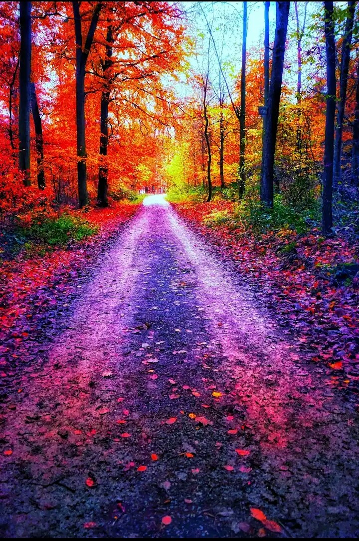 #colors #iloved