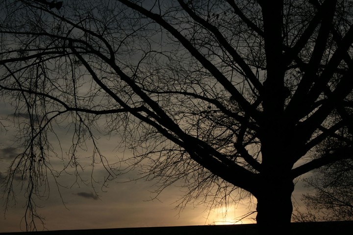 silhouette sunset
