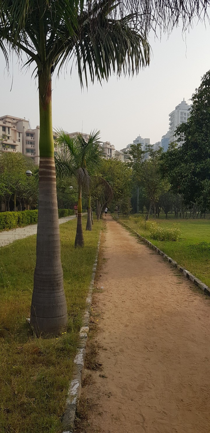 park