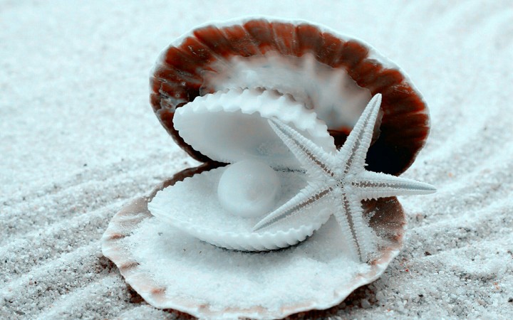 ship with starfish