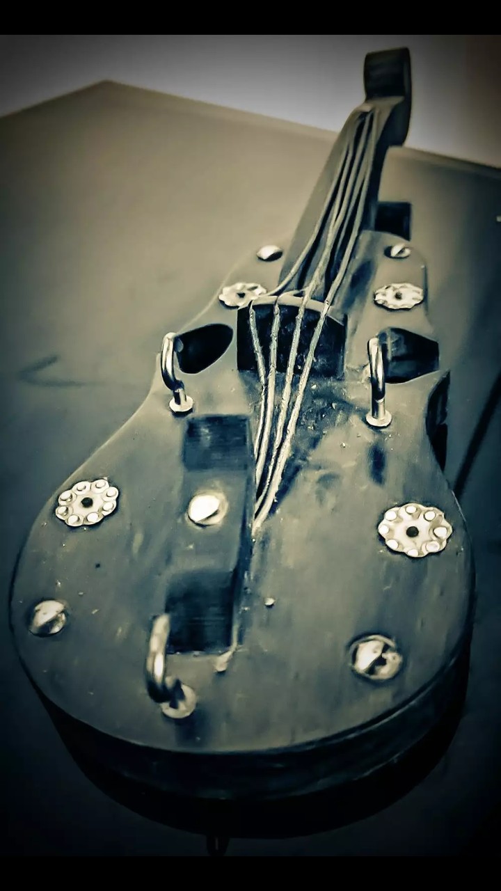 Violin