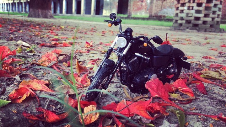 #Harley Davidson