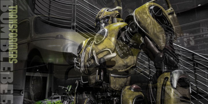 Bumblebee (mixed)