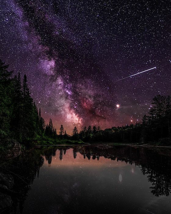 stars