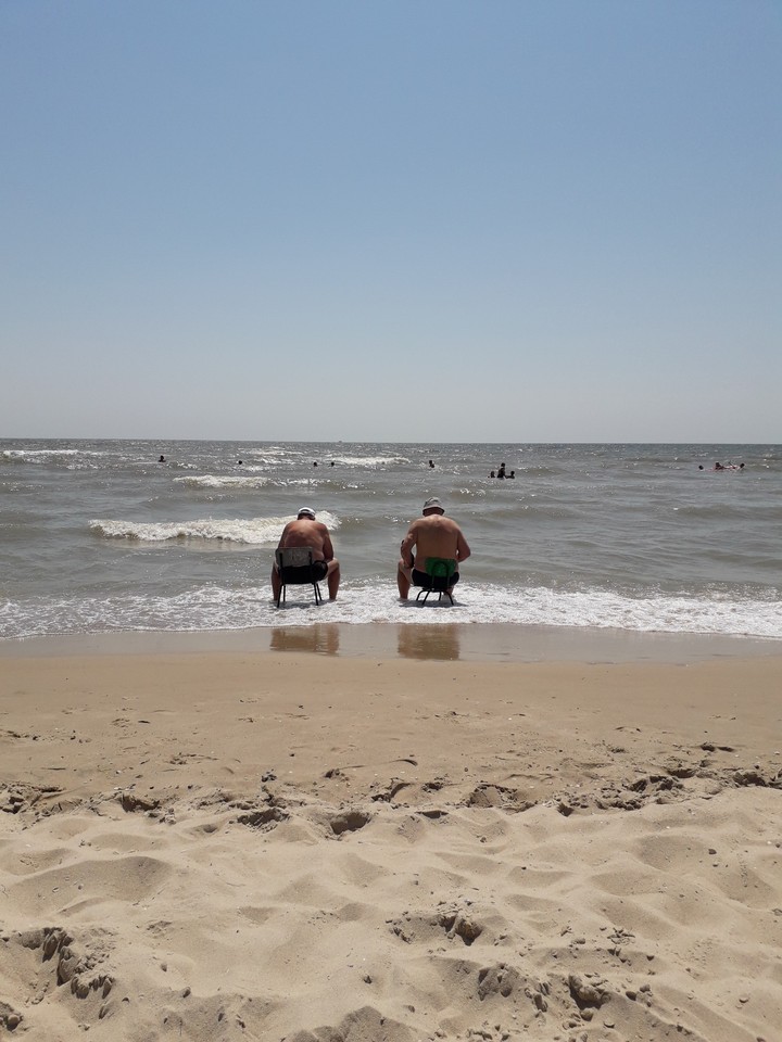 Там, где море по колено.