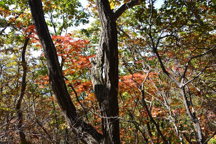치악산이미지