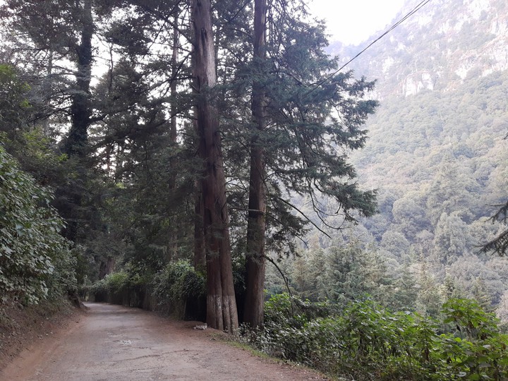 Nature