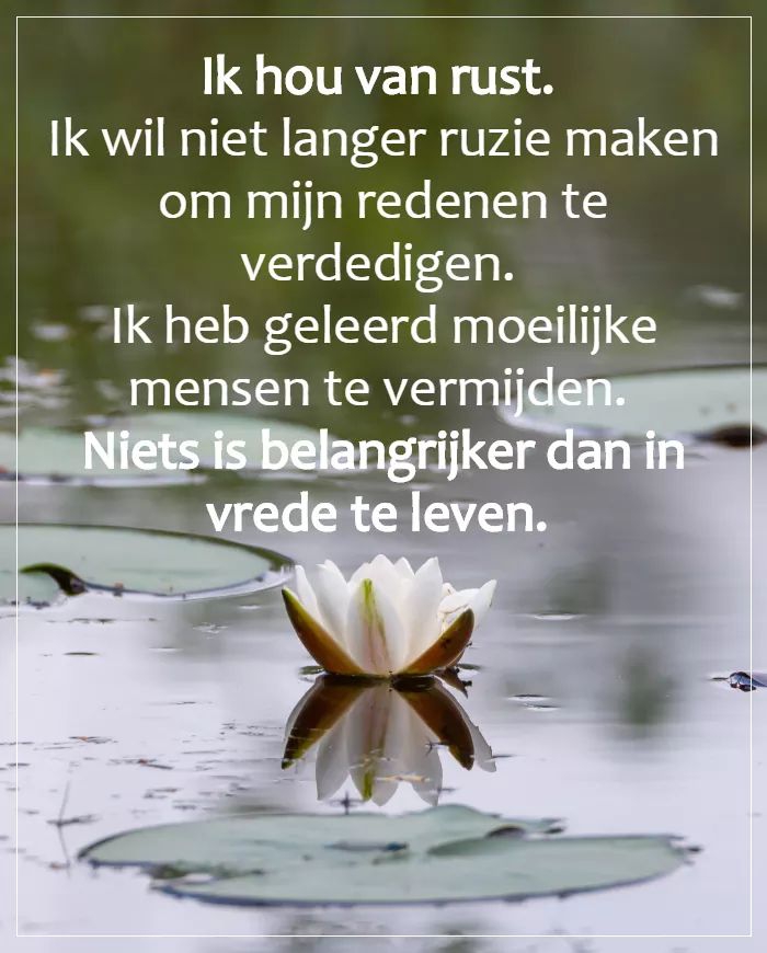 leven teksten