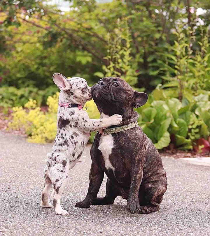 kiss