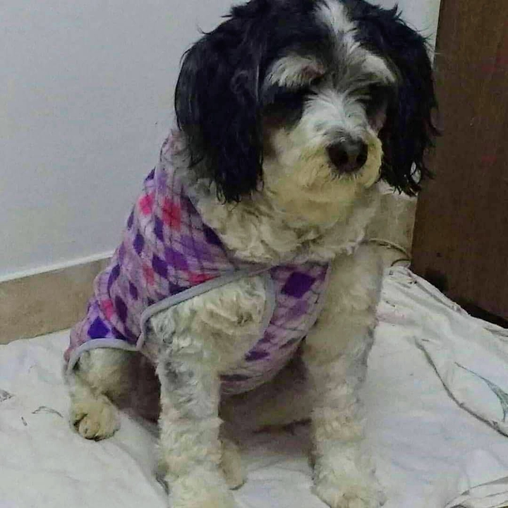 Greta