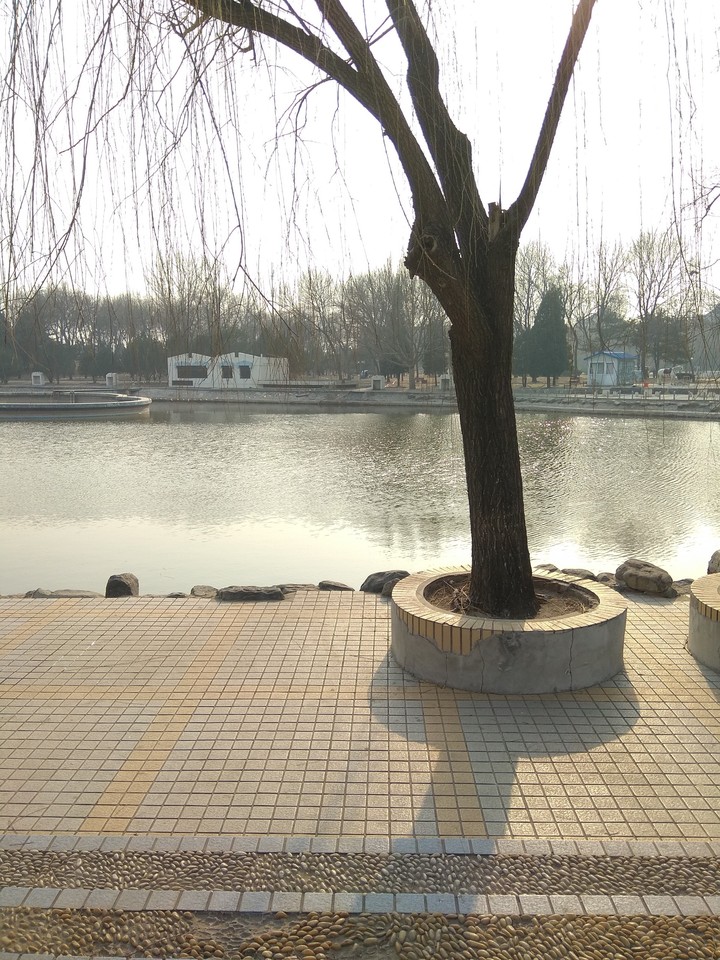Beijing