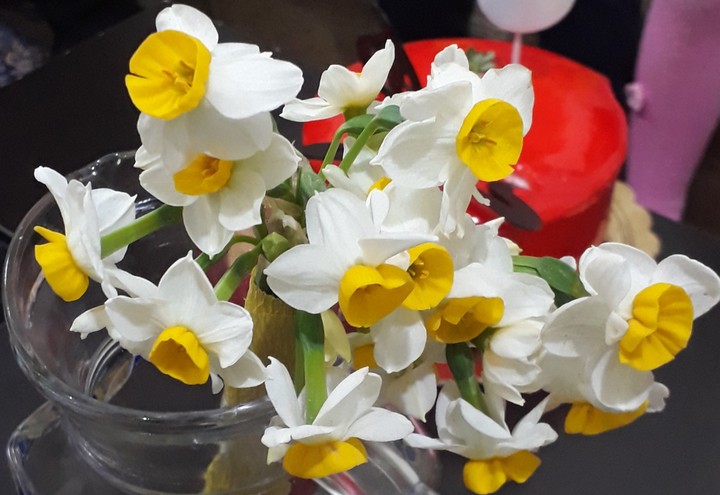 flower