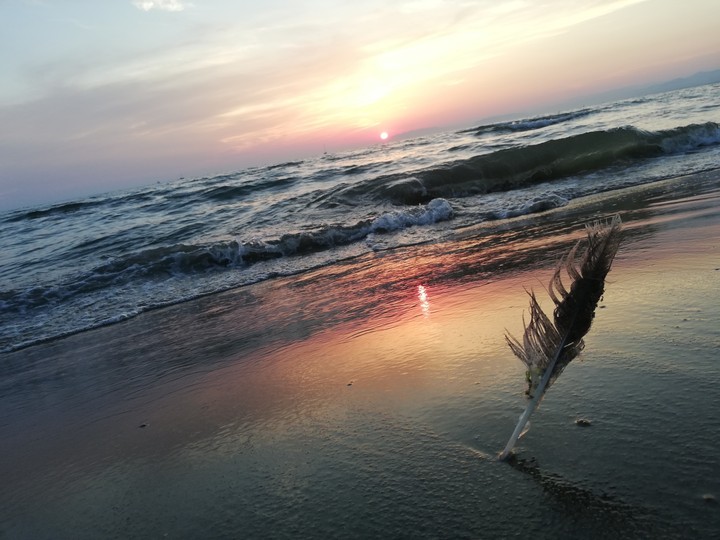 sea