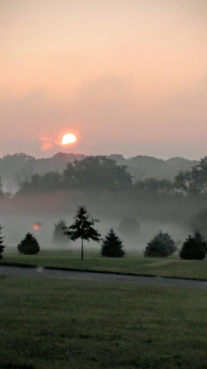 Foggy Morning