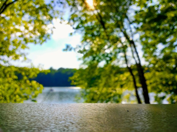 by the lake