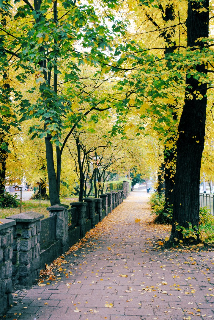 autumn