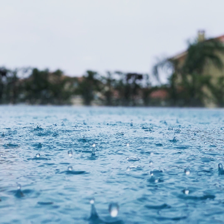 rain drop