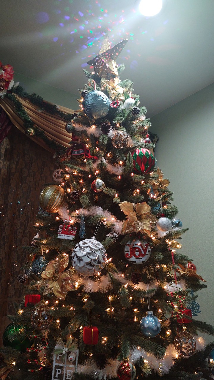 Our Christmas tree, ft Snowy Blues