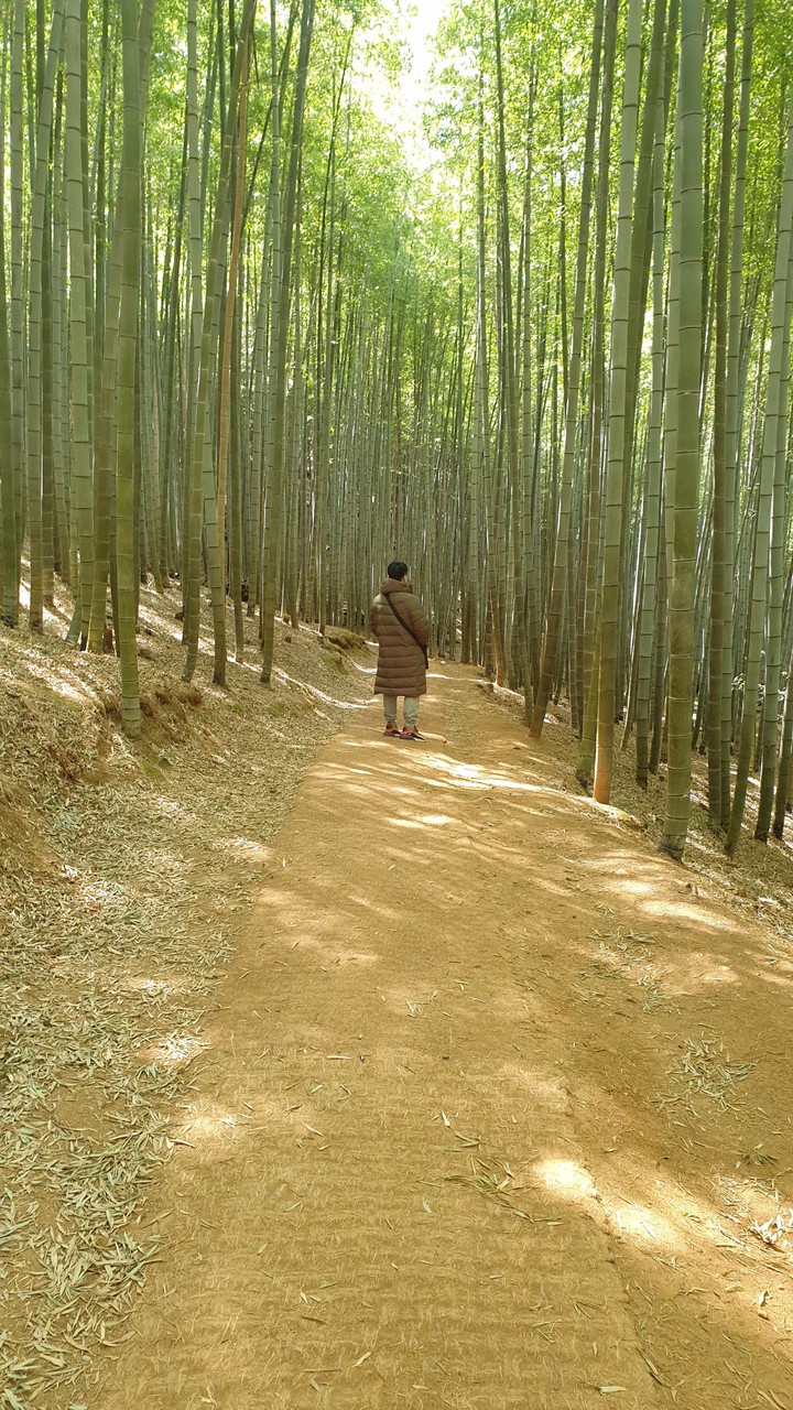 겨울산책