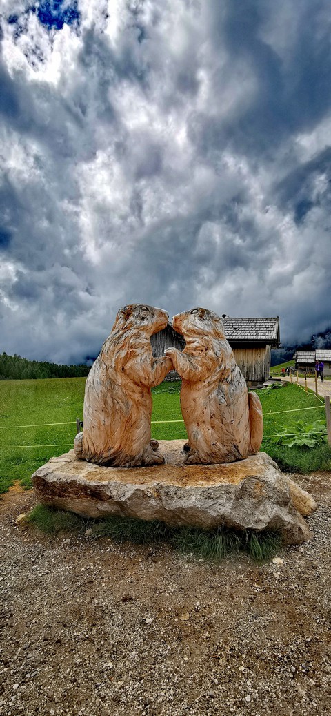 marmotta
