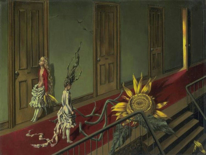 Sunflower tragedy