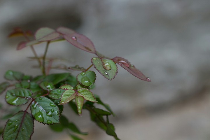 nature..