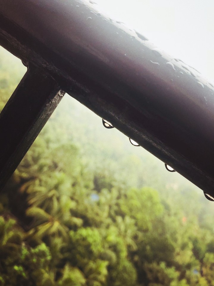 rain