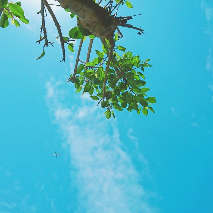 空