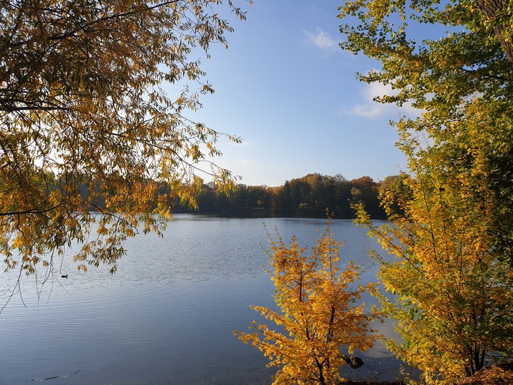 Herbst