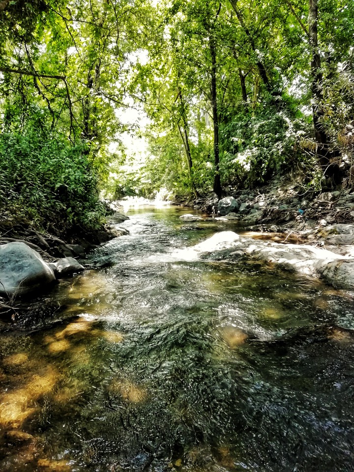nature