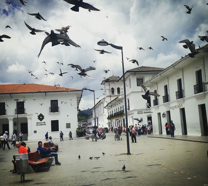 Naturaleza urbana