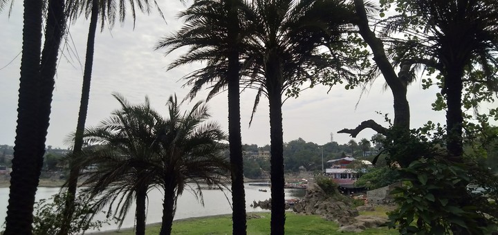 nature