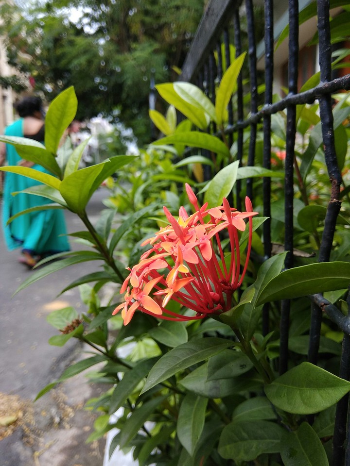 Morning Click