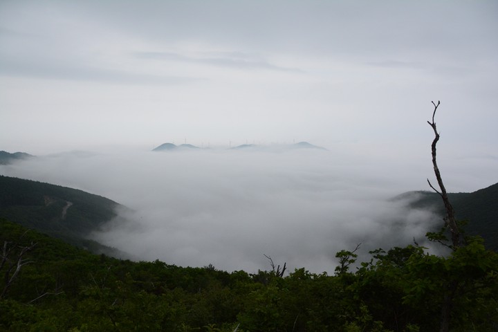 함백산이미지