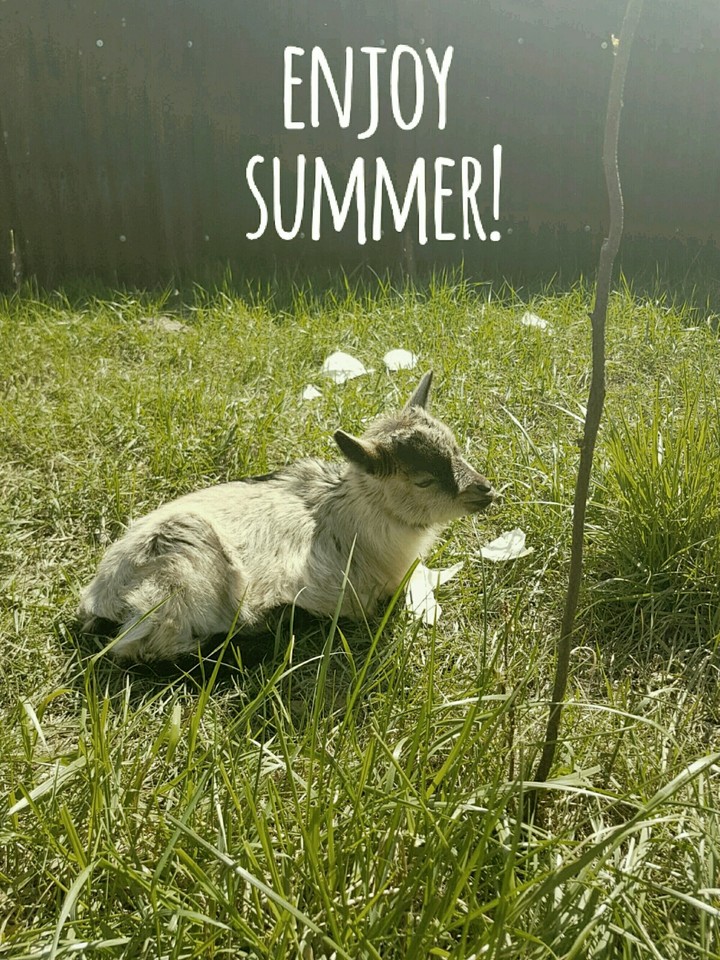 Enjoy Summer! <3