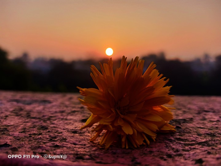sunrise ?