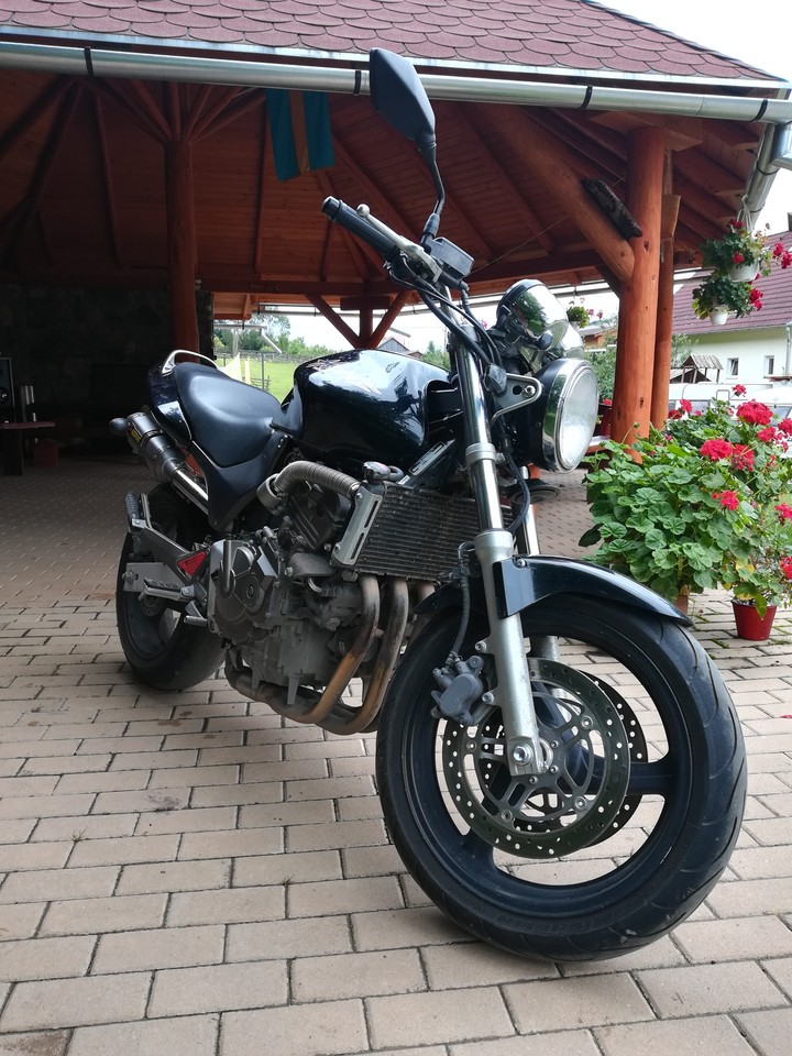 honda hornet
