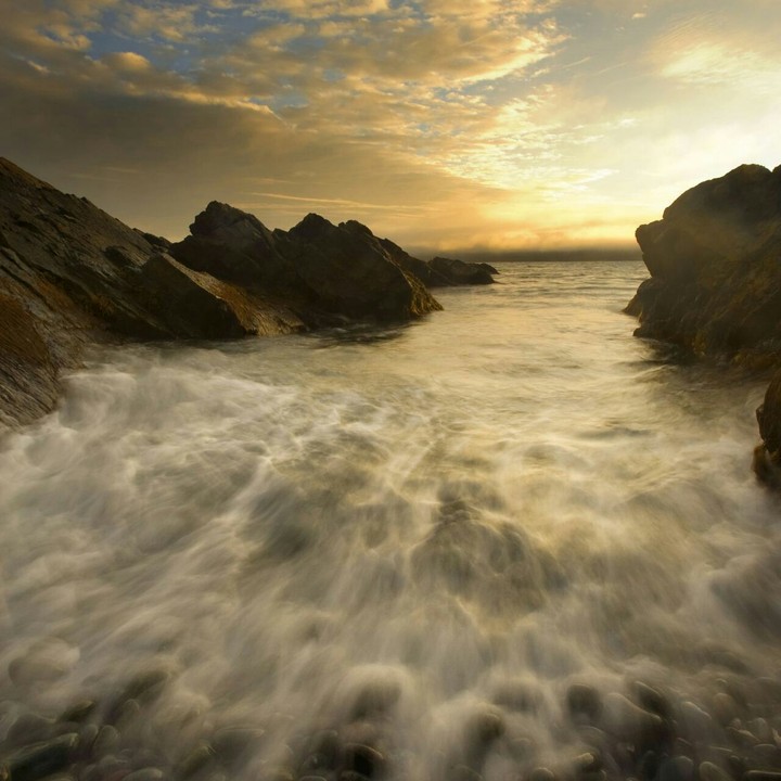 The Water