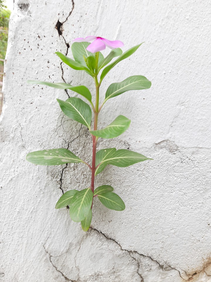 when HOPE word exist....so never lose hope in your life...