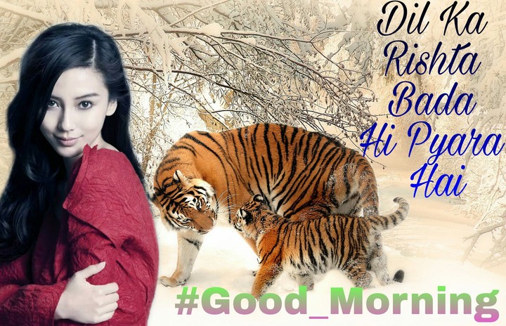 Good Morning