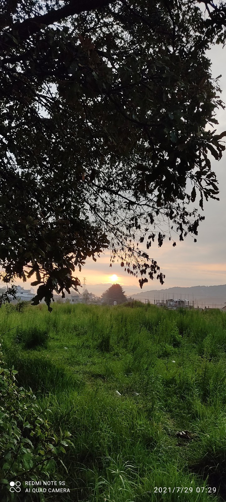 amanece