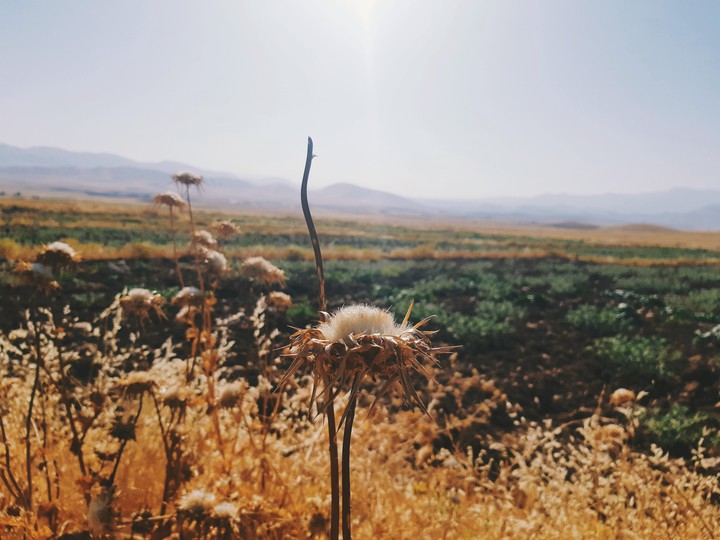 Iran Zahaab Desert