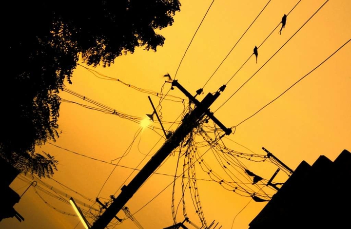Golden Evening