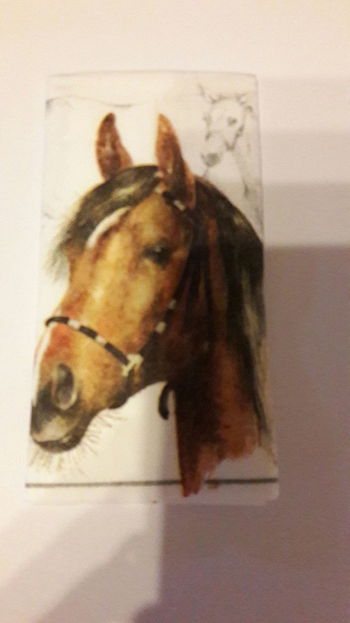horse