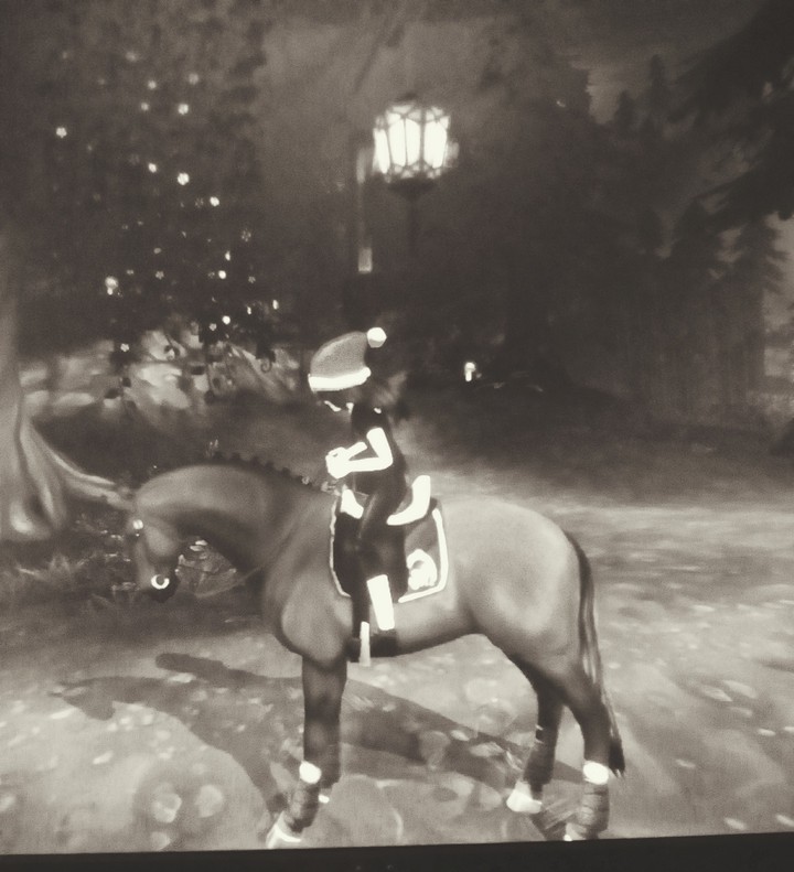 star stable