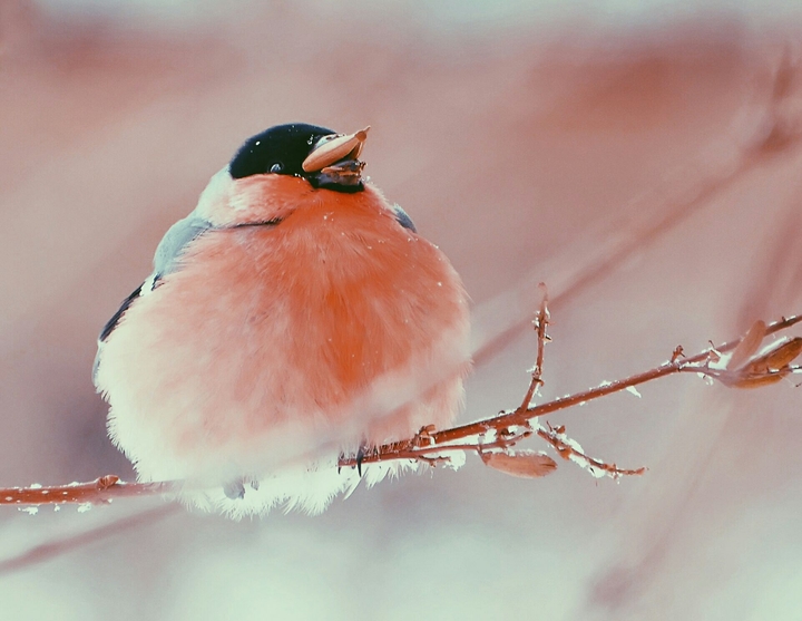 winter