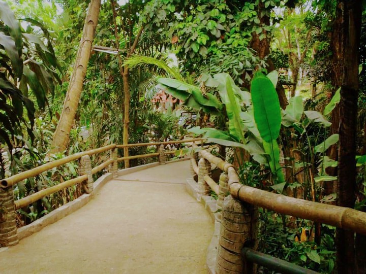 nature
