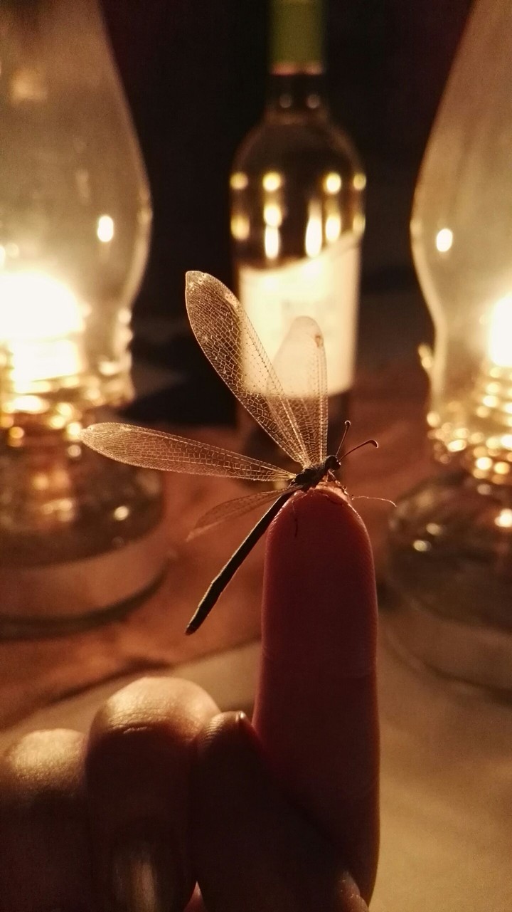 Light the way