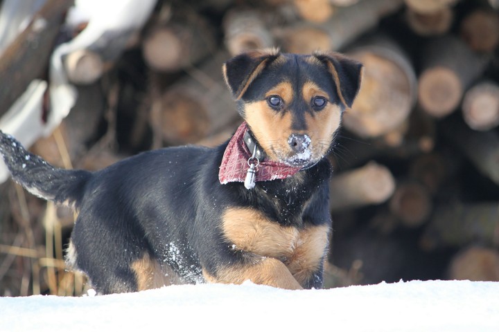 Winter